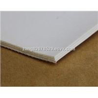 China High Quality White Smooth 4MM PVC Food Industry Conveyor Belt Manufacturer