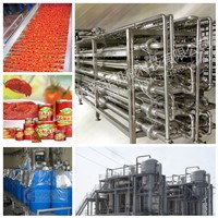 tomato paste machine / tomato paste making machine / tomato paste production line