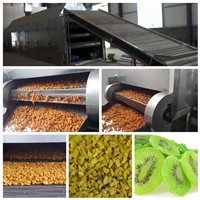 dried fruit processing line