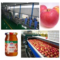Apple jam production line