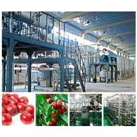 Date jujube hawthorn and similar fruit processing line