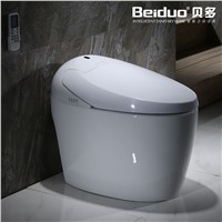 Intelligent Ceramic Toilet