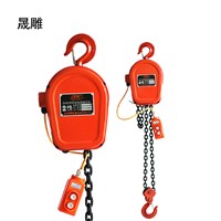 Electric chain hoist