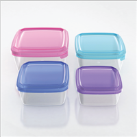 Food Storage Container L021