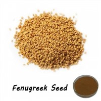 4-Hydroxyisoleucine Fenugreek Seed Extract GMP factory