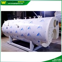WNS 5ton/hr gas fired steam Boiler vessels with Certification ASME for food project