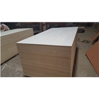 Bleached Poplar Plywood