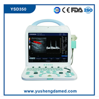 Portable 3D Color Doppler Ultrasound Scanner (YSD350)