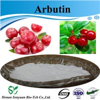 High Quality Bearberry Leaf Extract