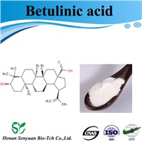 Betulic Acid Powder Supplier