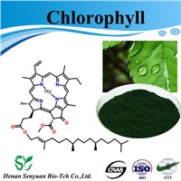 Natural organic chlorophyll wholesalers