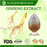 EC396 Standard Panax Ginseng Root Extract 1%-20% HPLC for Dietary Supplement