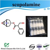 Herbs Scopolamine Powder