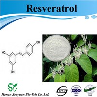 High Qualtiy Resveratrol Powder