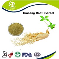 Panax Ginseng Root Extract Ginsenosides 7% Powder
