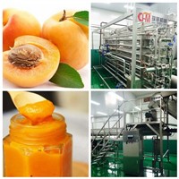 Apricot Paste Production Line Machine