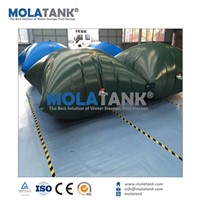 Home Use Collapsible Plastic 1000 L Irrigation Pillow Water Tank