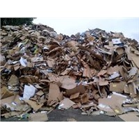 Bulk Waste Paper Scrap (Occ, Onp, Oinp, Yellow Pages Directories, Omg, A3 / A4 Waste