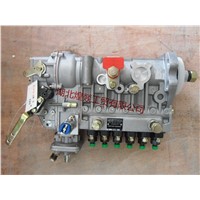 Cummins Engine Fuel Pump Injection