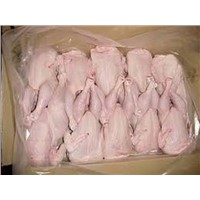 Frozen Whole Chicken, Halal Chicken for Sale