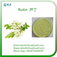 Plant Extract Powder Rutin CAS No: 153-18-4 EP98%Min/NF11 95%Min/DAB 98%Min