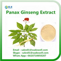 Panax Ginseng Extract 80% Ginsenosides
