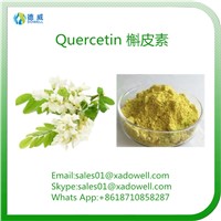 Sophora Japonica Extract Quercetin CAS No: 6151-25-3