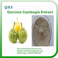 Garcinia Combogia Extract HCA (Hydrogen Citric Acid)