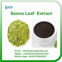 Herb Extract- Senna Leaf Extract 8% 10% 20%