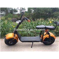 800W/1000W Electric Harley Scooter with F/R Suspension, 2 Seats