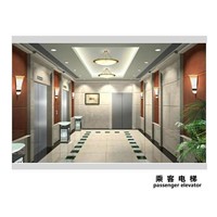 Promotional Best-Selling 630kg(8 Persons) Lift Passenger Elevator
