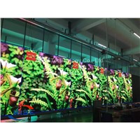 P8MM SMD/DIP Indoor LED Advertising Display Full Color LED Display Indoor P8MM ARISELED SMD/DIP LED Module P6 P8 P10
