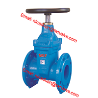 Resilient Seated NRS Gate Valve