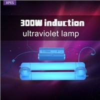 China Supplier UV Lamp Light USA Disinfection Used Uvc Lamp