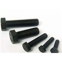 High Strength Hex Bolts with ISO 9001: 2008