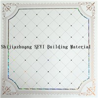 Decorative Building Material PVC Plastic Ceiling Board