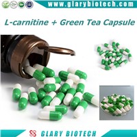Green Tea +L-Carnitine Capsule 500mg for Body Slimming Losing Weight