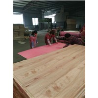 PACKING PLYWOOD, Furniture Plywood & Construction Plywood