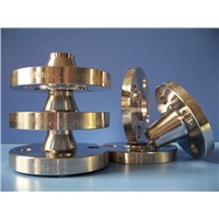 Carbon /Stainless/Alloy Steel Flange, Forged Flange