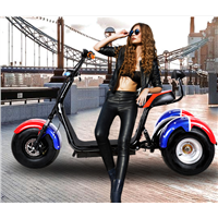 Three Wheel Smart Electric Scooter Motorcycle