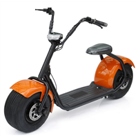 Two Wheel Smart Electric Scooter Motorcycle