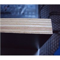 China Manufacturer Top Quality Film Faced Plywood