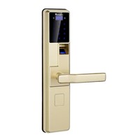 Biometric Fingerprint Door Lock with Password & RFID