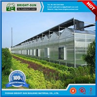 Bright Sun Polycarbonate Greenhouse Sheet for Hydroponic Systems