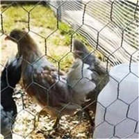 Hexagon Twisted Poultry Wire Mesh