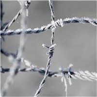 Hot-Dip Zinc Plating Barbed Wire