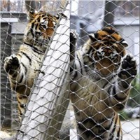 Zoo Animal Enclosure Cable Nets