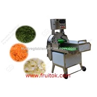 Multifunction Vgeteble Cutting Machine with Best Price
