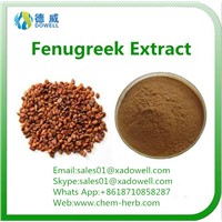 Top Quality Natural Organic Fenugreek Seed Extract