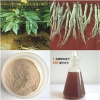 GMP Factory Supply 80% Ginseng Extract Quality Product Huir